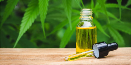 everything-you-need-to-know-about-cbd-in-2022