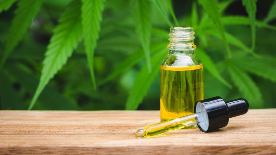 everything-you-need-to-know-about-cbd-in-2022
